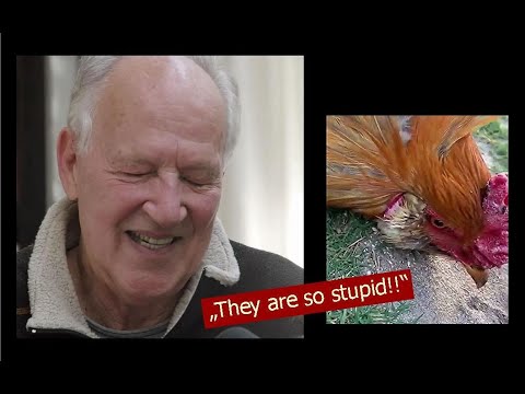 Werner Herzog - The Overwhelming Stupidity of Chickens!