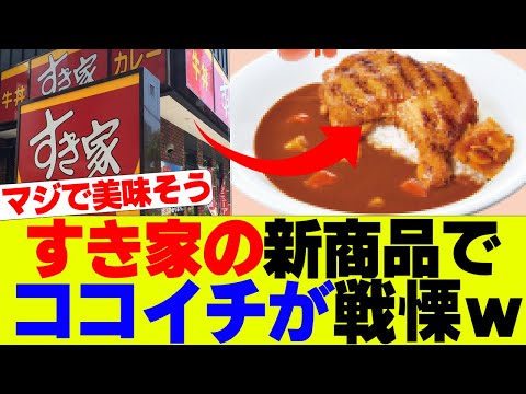 【衝撃】すき家の新商品が、ガチで美味そうと話題ｗ【すき家、松屋、吉野家】