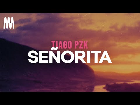 Tiago PZK - Señorita (Letra/Lyrics)