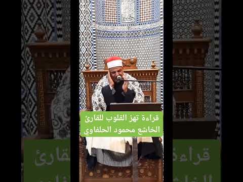 قراءة تهز القلوب للقارئ الخاشع محمود سالمان الحلفاويمن مسجد الإمام الحسين الخميس الموافق 14/3/2024