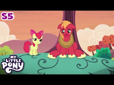 My Little Pony | Crusaders of the Lost Mark | FULL EPISODE | Friendship Is Magic Season 5