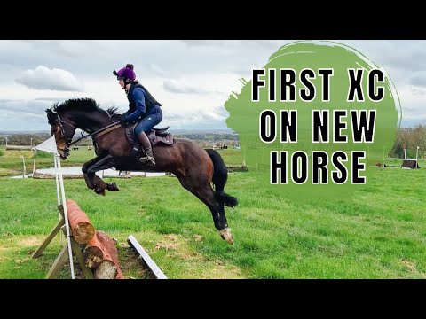 FIRST XC TRAINING| My new horse is EPIC! INC GoPro