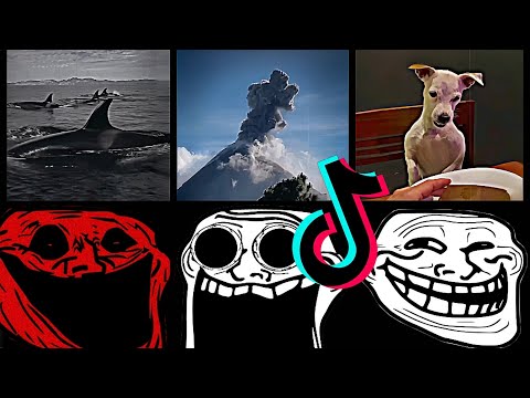 🥶 Coldest TrollFace Compilation 🥶 Troll Face Phonk Tiktoks 🥶 Coldest Moments Of All TIME #7