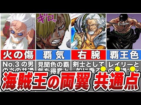 【ワンピース】新旧海賊王の両翼に隠された意外すぎる共通点！【ゆっくり解説】