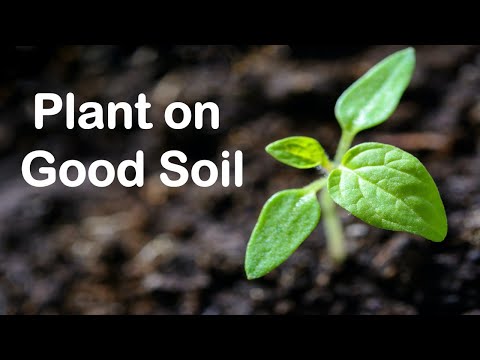 Plant On Good Soil (Pastor Ed Lapiz)