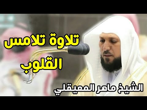 تلاوة تلامس القلوب للشيخ ماهر المعيقلي  آخر سورة المنافقون 1442