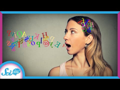 This Is Your Brain on Language | Compilation