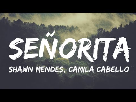 Shawn Mendes, Camila Cabello - Señorita (Lyrics) | Taylor Swift, Adele...(Mix Lyrics)