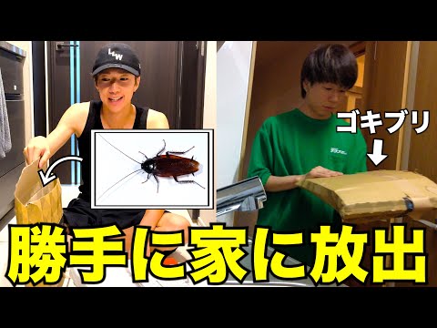 【ドッキリ】郵便物の中に大量の生きてるゴキブリ入れてみた