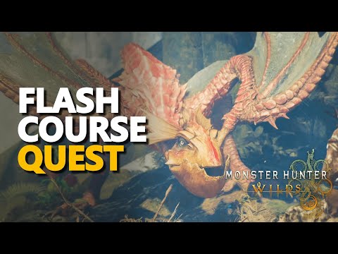 Flash Course Monster Hunter Wilds