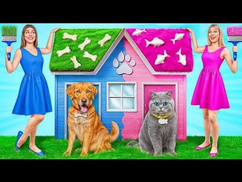 We Built a House For Pets | FunnyChallenges by Multi DO SmileX