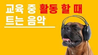 교육 조별 활동 할 때 트는 음악 BGM추천 BEST10 [강추템]