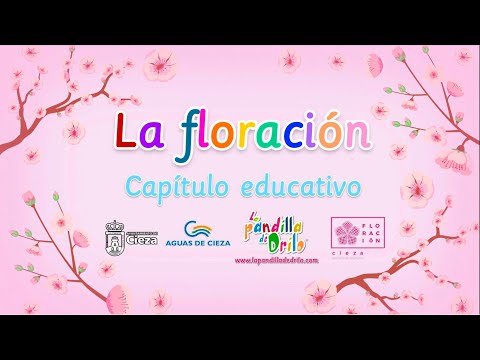 La floración (capítulo educativo)