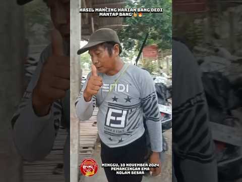 MINGGU GACOR! HASIL MANCING HARIAN BANG DEDI DI PEMANCINGAN EMA