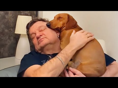 Dad With Dogs They "Didn't" Want 🤣 Funny Dog and Human