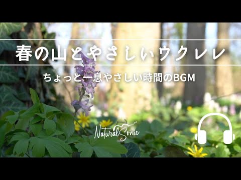 Natural Sonic「春の山とやさしいウクレレ」 - ちょっと一息やさしい時間のBGM -