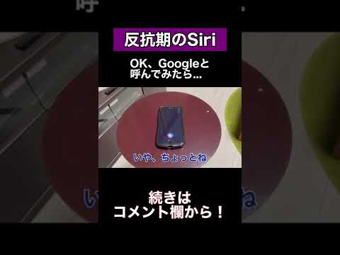 SiriにOK、Googleと呼んでみたら... #shorts