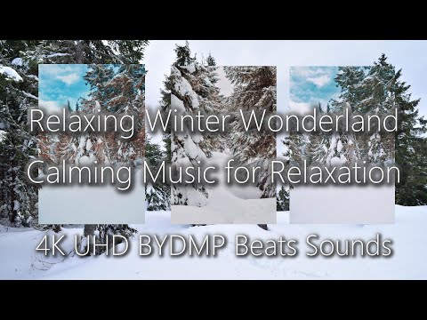 [4K] Relaxing Winter Wonderland | Calming Music for Relaxation by @dmpa09