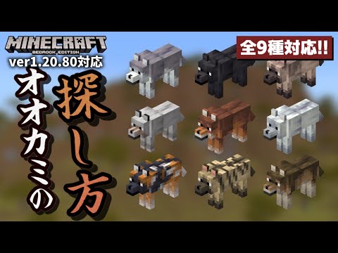 【全9種】色違いオオカミ全種類のバイオームの特徴と探し方を解説！！【マイクラ統合版(MCPE/Xbox/PS4/Switch/Windows10)】【ゆっくり実況】