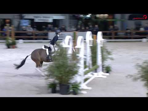 Hunter Jumper Equitation Laura Hendriks