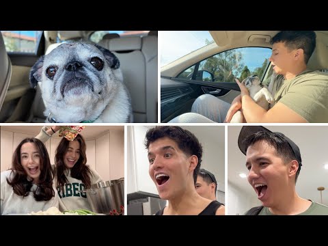 They Surprised Us With Filipino Food! + Guppy Got His Stitches Removed But Then This Happened...