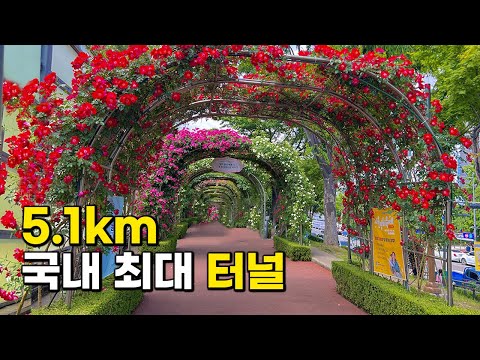 5 Amazing Rose Gardens in Korea Popular Among Foreign Visitors