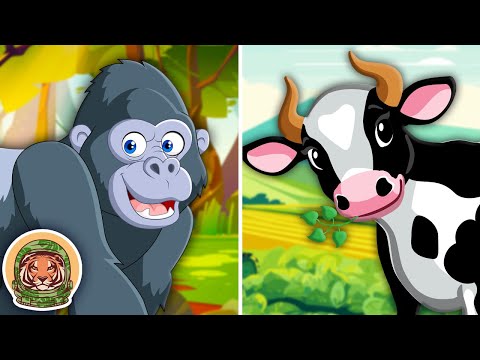 Learn About Animals Eat Mostly Plants! | Animal Songs For Kids | KLT WILD