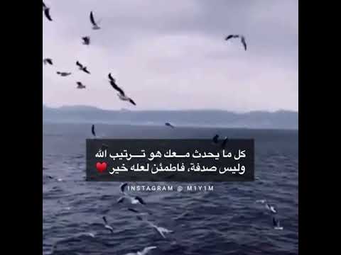 لعلهُ. خير