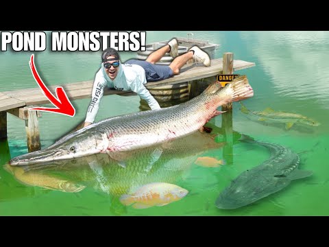 THE RAREST MONSTER FISH in UNITED STATES!! (BIGGER THAN ME)