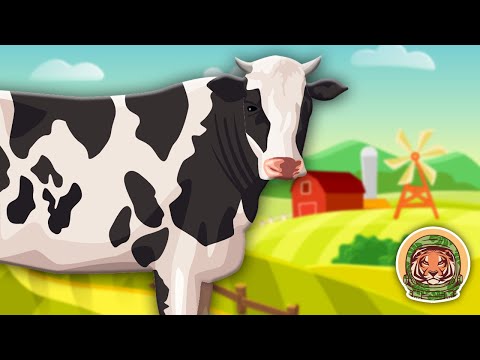 Cows! Learn All About Cows! | Farm Animal Songs For Kids | KLT WILD