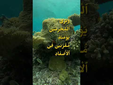 Heart Touching and Beautiful Recitation Quran for Psychotic Disorders, Mental Health & Mental Peace