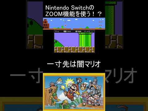 4-1 一寸先は闇マリオ Nintendo SwitchのZOOM機能を使う！？