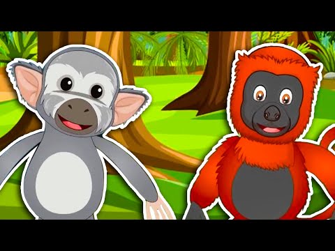 5 Little Monkeys Song! | Jungle Animal Sound Songs | Kids Learning Videos