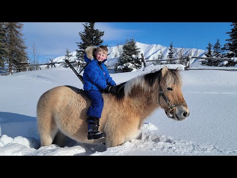 Stranded on 120 yr Old Off-Grid Homestead (4 Days Hunting, Fishing & Exploring)