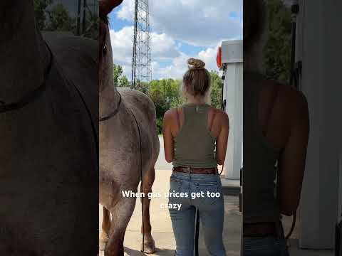 Gassing up for a ride #horses #horse #equestrian #cowgirl