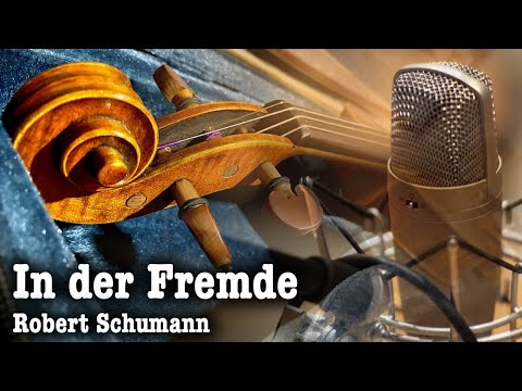 In der Fremde by Robert Schumann - Violin and Singing Interpretation