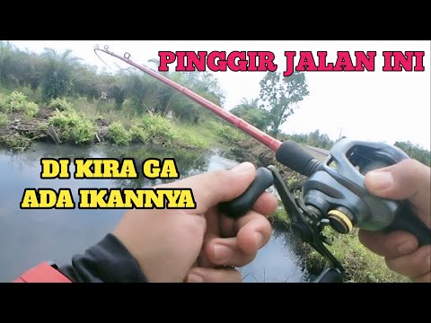 SPOT PINGGIR JALAN INI DI KIRA GA ADA IKANNYA || CASTING HARUAN DI PINGGIR JALAN