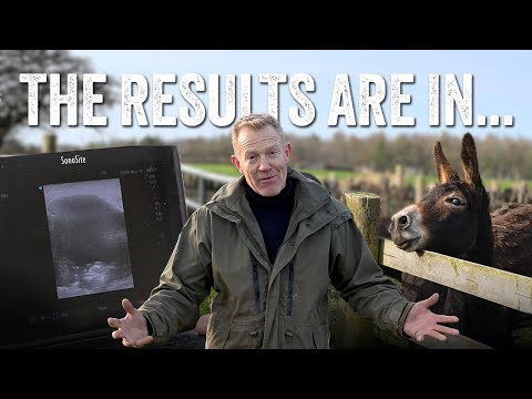 Pregnancy Testing | The Results Are In...