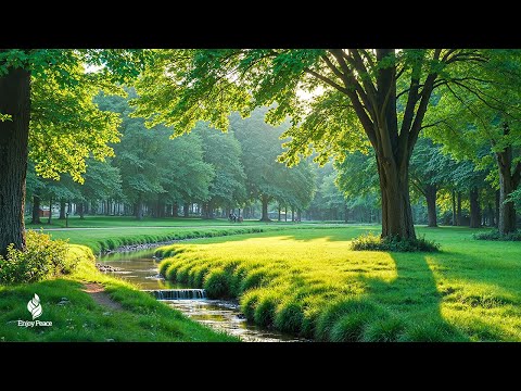 Healing Harmony: Music for the Heart 🌿 Relaxing music to reduce stress #2