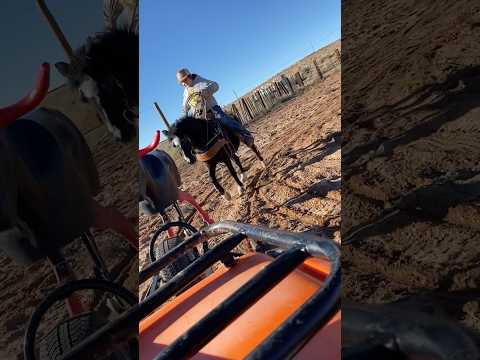 Jasper: The man, the myth, the legend!    … & Gizmo. #cowboykid #painteddesertranch