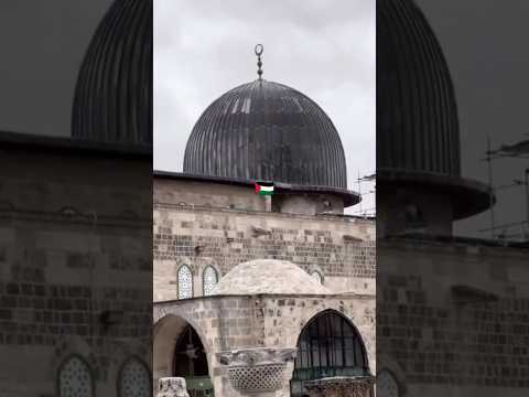 Masjid al-Aqsa #alaqsa #palestine #freepalestine #alquds #gaza #jerusalem #palestinewillbefree