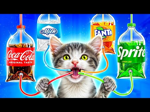 Me vs Pets Food Challenge! Easy Tricks for Pet Owners and Hilarious Moments