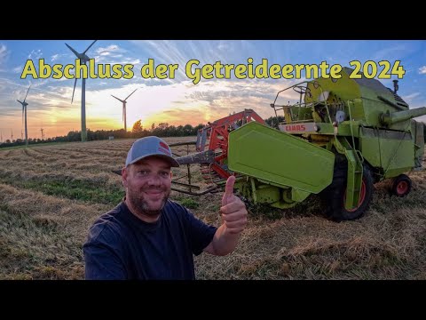 Farm-Vlog #35 Der Sommer kommt zurück und somit kann die Getreideernte 2024 abgeschlossen werden.