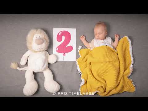 Lion & BABY Leo, Happy Birthday STOP MOTION, 2 month old