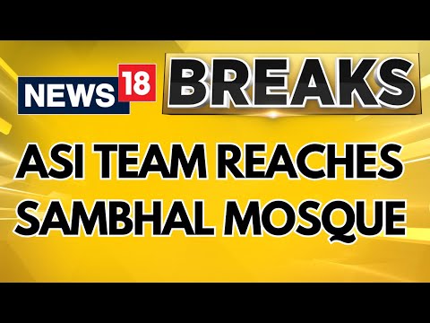 ASI team reaches Sambhal mosque | Cops To Conduct Flag March From Ek Raat Masjid To Jama Masjid