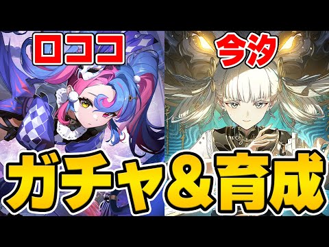 【配信】新キャラ『ロココ』と復刻の『今汐』をガチャで引いて育成して使っていくぞ！！！【Wuthering Waves】