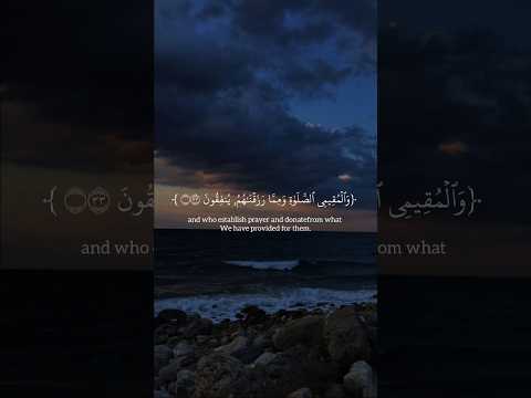 Quran recitation#islamicprayer#shorts#quranrecitation#quran#quranicwisdo#quranayat#qurantranslation