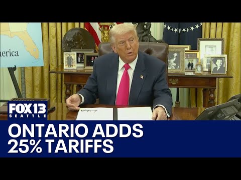 Ontario puts 25% tariff on American electricity customers | FOX 13 Seattle