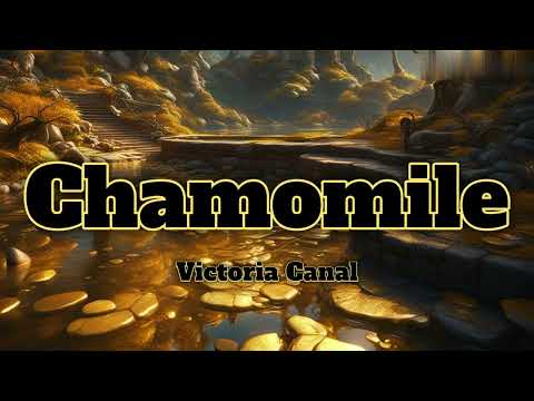 Chamomile-Victoria Canal (Lyrics)