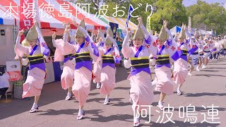 Surprise Comeback at Tokushima Marathon–That Big Hit from the Summer Returns | Awaodori in Tokushima